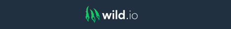 Wild.io 카지노