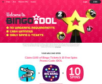 Bingo Idol Screenshot