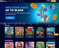 BlueLeo Casino Screenshot