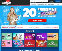 Daily Record Bingo Screenshot