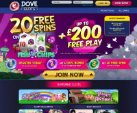 Dove Slots Casino Screenshot