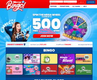 Mirror Bingo Screenshot