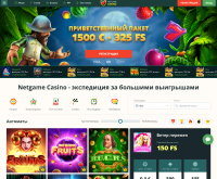 NetGame Casino Screenshot