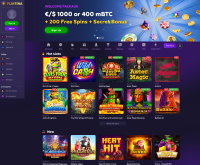 Playfina Casino Screenshot