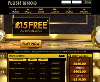 Plush Bingo Screenshot