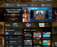 Riobet Casino-Screenshot