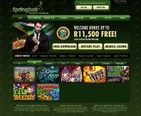 Capture d'écran du casino Springbok