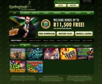 Springbok Casino Screenshot