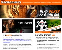 Schermata del gioco Tiger